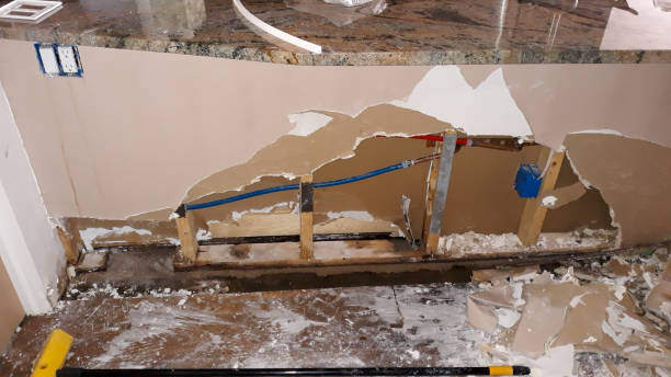 Best Basement water damage restoration  in Halfway, MD