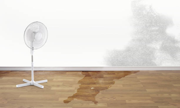 Best Residential water damage restoration  in Halfway, MD